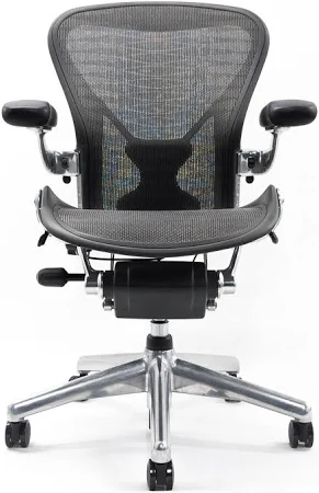 Aeron Chair Size B front view with mesh back